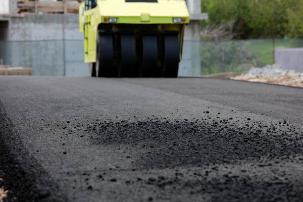 Best Professional Driveway Pavers  in Bushnell, IL