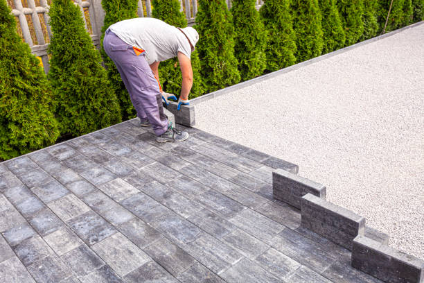 Best Driveway Paving Contractor  in Bushnell, IL